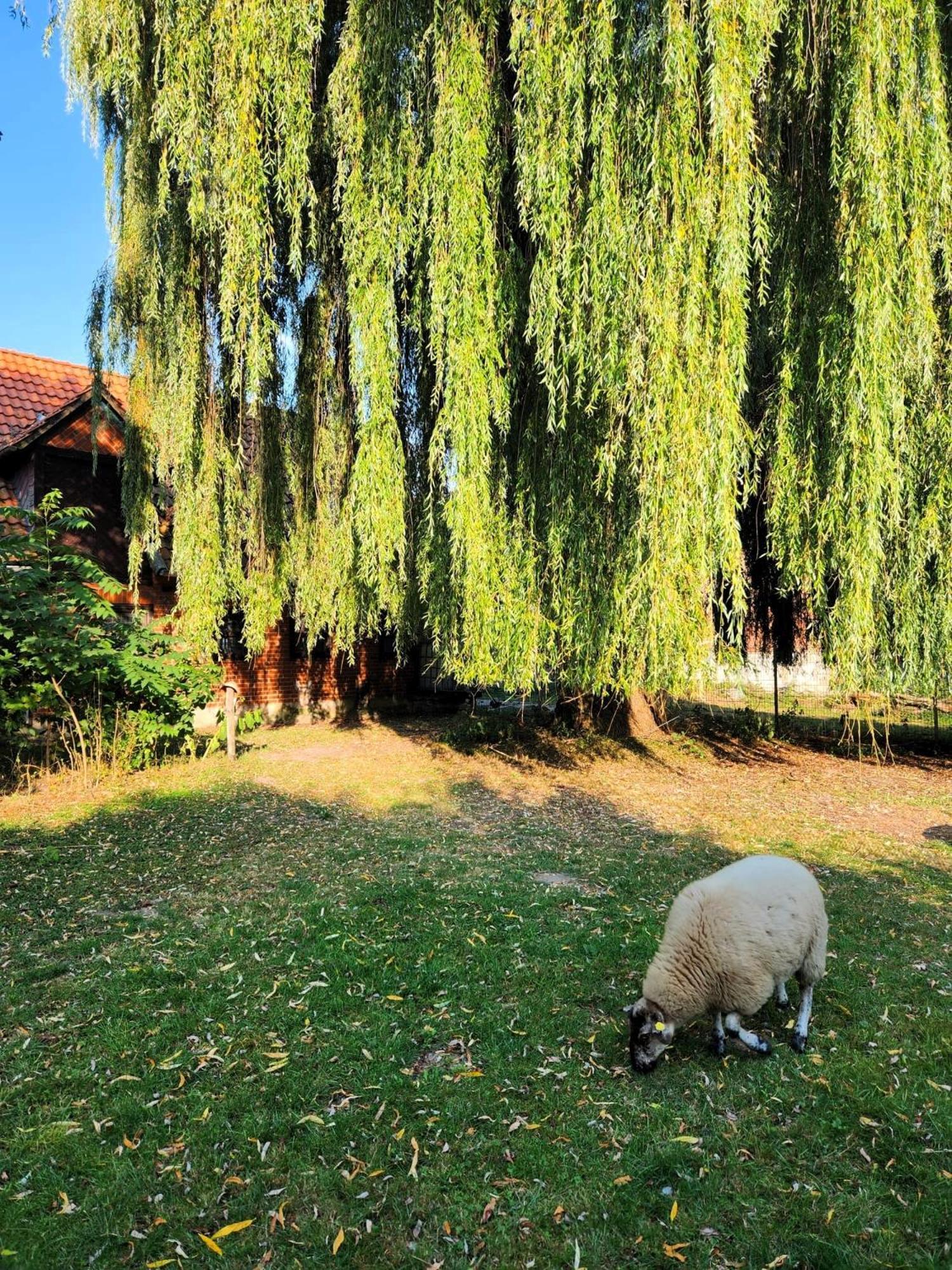 Appartamento Hof Kuma Uelzen Esterno foto